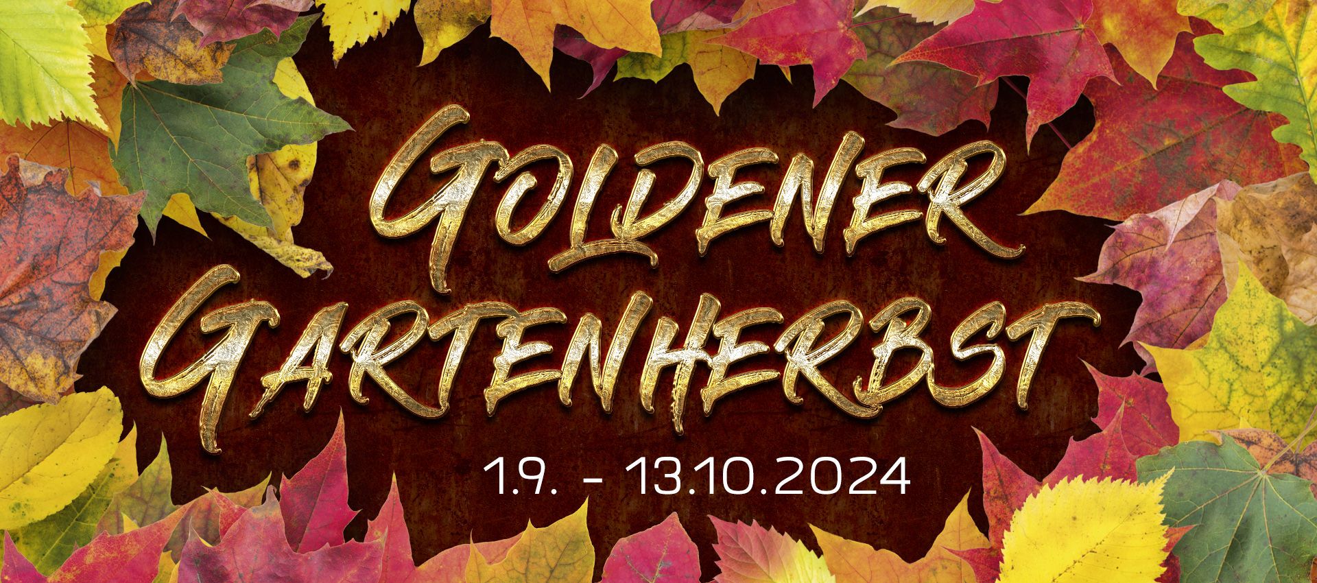 Goldener Gartenherbst 2024 vom 01.09. bis 13.10.2024